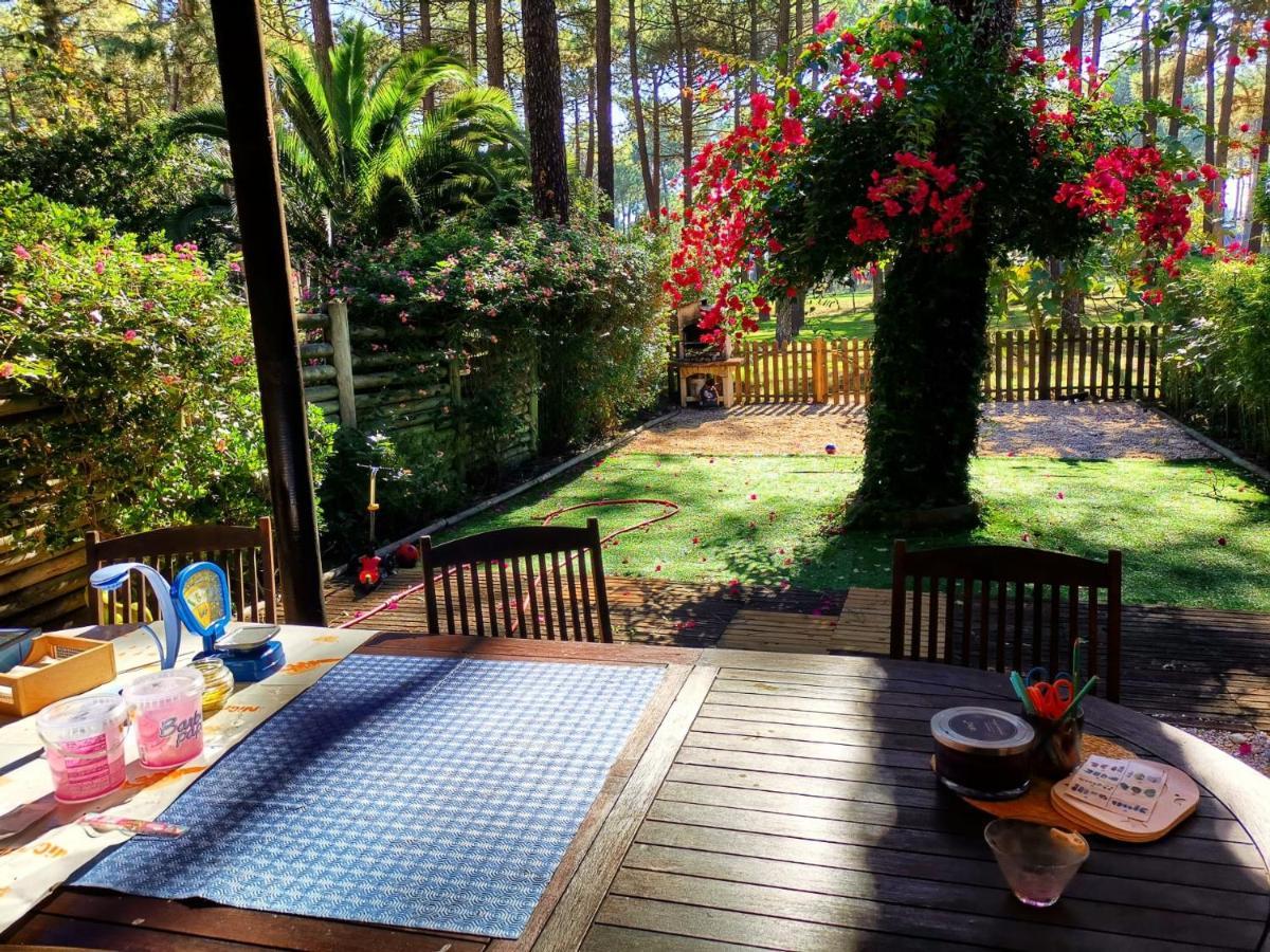 Dolphin Aroeira Beach Villa Шарнека Екстер'єр фото
